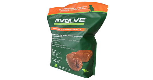 Evolve Rat (2.7 kg)
