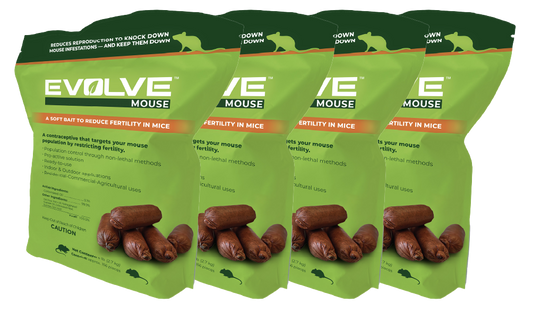 Evolve Mouse (Box with 4 bags)