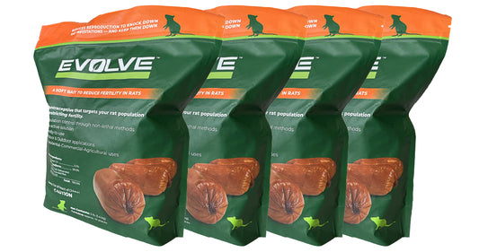 Evolve Rat (Box with 4 bags)