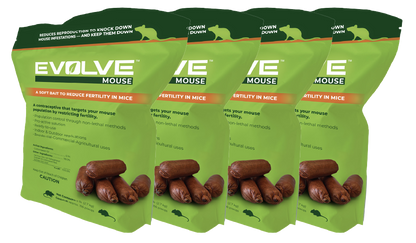 Evolve Mouse (Doos à 4 stuks)